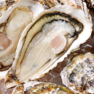 제철 통영 하프셀 굴 석화 삼배체 생굴 각굴 석굴