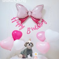 강아지 생일파티 고양이 돌잔치 생일상 하트리본세트