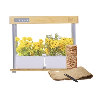 마녀박스 식물 수경 재배기 가정용 스마트팜 올인원 세트