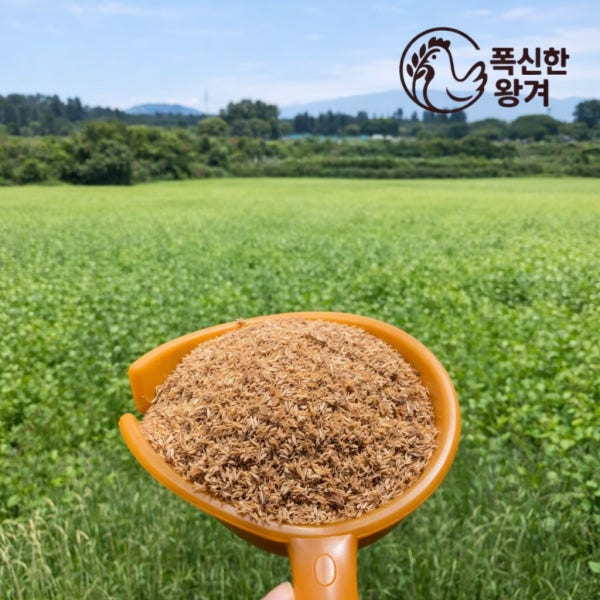 폭신한왕겨 11Kg 쌀겨,쌀껍질
