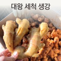 중국산 대왕 세척 생강 1kg 수입 깐생강 초절임용