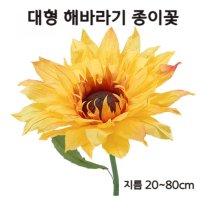 해바라기 종이꽃 대형 포토존 자이언트 큰 에바폼 플라워 결혼식 사진 스튜디오 배경 벽