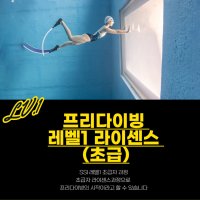 프리다이빙 레벨1자격증 (초급) 서울 경기 일산 수원 성남 송도 용인교육