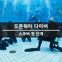PADI 오픈워터 초급 자격증 교육 패디 서울 경기 평일 주말 스쿠버다이빙 교육