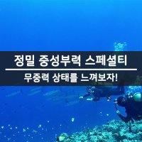 PADI 중성부력 스페셜티 자격증 교육 패디 서울 경기 평일 주말 스쿠버다이빙 교육