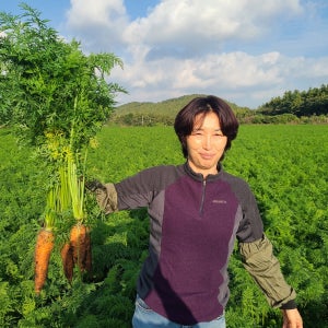 26년 겨울 햇 제주 유기농 친환경 구좌당근 3Kg 5Kg 못난이