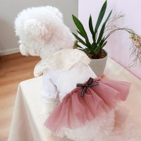 강아지 증명사진 고양이 코스튬 산타옷 xs Cat Dog Dresses Summer Pet Clothes Doggie Puppy Clothing Yorkshire Pomerania