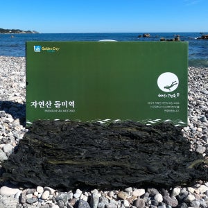감포 자연산 돌미역 500g 동해바다 햇미역 맛있는 건미역 자연산미역 산모국거리