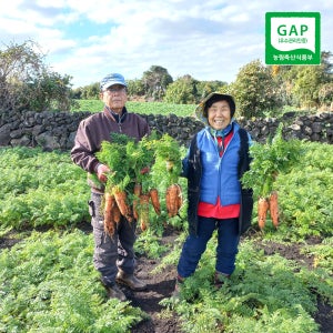 오가네팜 국내산 당근 제주 구좌 흙당근 5kg 10kg 햇당근 주스용