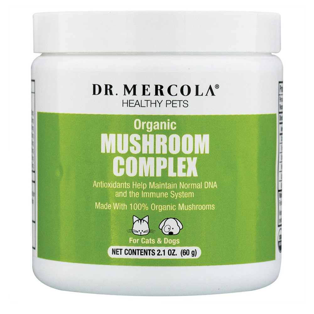 <b>닥터머콜라</b> 강아지 고양이 머쉬룸 컴플렉스 내츄럴 버섯 추출물 60g