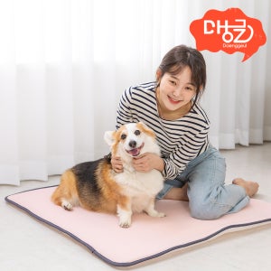 댕글 펫방석 반려견매트 대형견 중형견 강아지 쿨매트 에어매쉬 미끄럼방지 매트 60x100