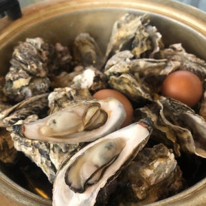 제철 통영 석화 각굴 삼배체굴 5kg 10kg