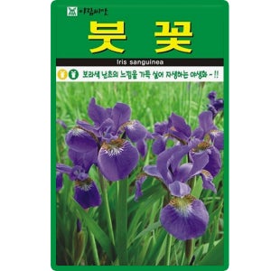 아람종묘 붓꽃 씨앗 20립 보라색 붓꽃씨 야생화 종자
