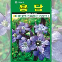 용담 씨앗 용담 씨 꽃 종자 1000립