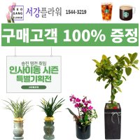 취임화분 취임축하선물 특별기획전