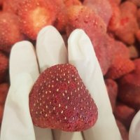 동결건조 딸기칩 60g 건조 과일칩
