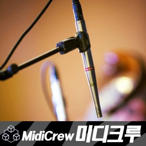 Earthworks Audio 어스웍스 단일지향 어쿠스틱 기타마이크 악기용 MIC SR30 (20Hz to 30kHz)