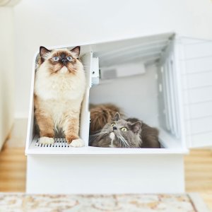 펫킷 화이트 빌라 스마트 고양이 화장실