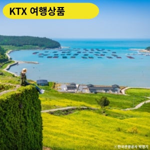 완도·보길도·청산도 1박2일 KTX 코레일 기차패키지여행