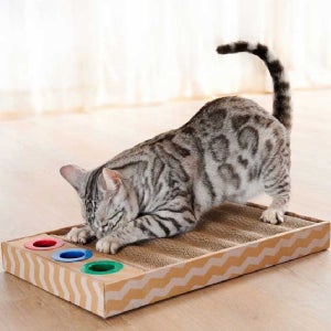 PET 가리가리 웨이브 스크래쳐 /고양이 플레이 박스