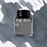 글입다 이상 거울 속의 나 병잉크 30ml