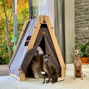 중형견 원목 강아지집 [XL 시크그레이]