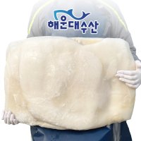 냉동 대왕 오징어 20kg 몸통 도매