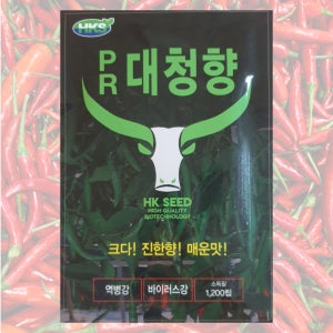 고추종자 PR 대청향 1200립 매운 청양 고추 대과 칼라병 탄저병 품종 씨앗