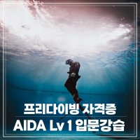[더프리다이브]프리다이빙 강습 AIDA1 입문 레벨1 서울,성남, 수원, 송도