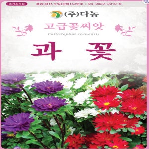 과꽃 과꽃씨앗 씨 종자 1g