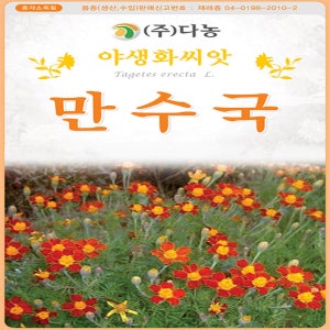 만수국 천수국 메리골드 씨 씨앗 종자 80립