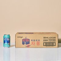 웅진식품 빅토리아 탄산수 자몽 350ml 24캔