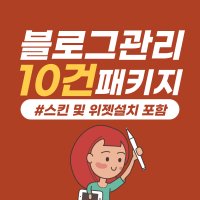 블로그관리대행 10건 패키지 / 스킨셋팅포함 / 홈페이지형블로그 제작