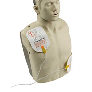 심폐소생술 CPR 교육용 마네킹 브레이든 일반형 IM13S