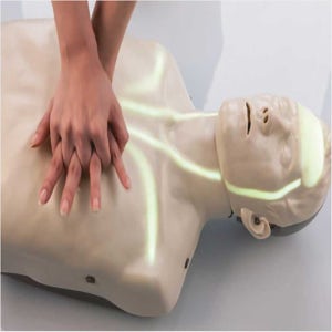 심폐소생술 CPR 교육용 마네킹 브레이든 혈행표시형 IM13K-R