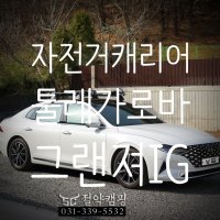 현대 그랜져IG 지붕형 자전거캐리어 툴레 598 프로라이드