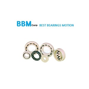 BBM 중국제 세라믹 베어링 6010