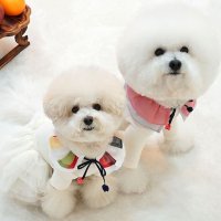 보리의하루 강아지 고양이 고급 한복 케이프(3 color)