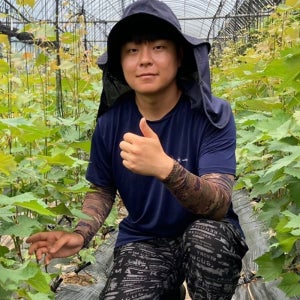 포도나무묘목 캠벨 삽목1년생