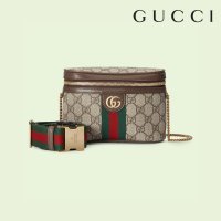 구찌[GUCCI] GG 오피디아 웹 벨트 백 Ophidia belt bag with Web 699765