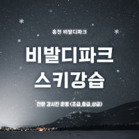 홍천 비발디파크 스키 보드 강습 초급 중급 상급 전문강사진