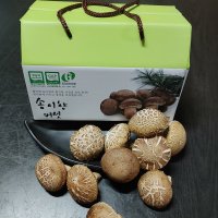 백화송이향버섯 기획형 800g