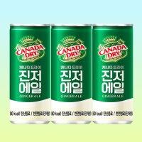 캐나다드라이 진저에일 250ml x 30캔