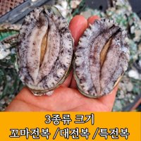 완도 꼬마전복 다시마 전복 수산 특전복 특대완도살아있는 미니 라면