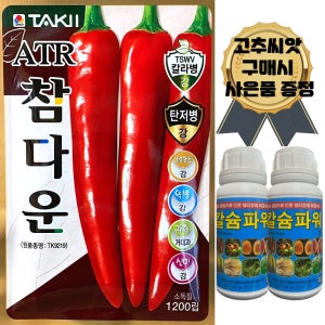 ATR참다운 복합내병계 고추씨앗 1200립 탄저 칼라 역병 내병계 매운맛 고추종자 코레곤