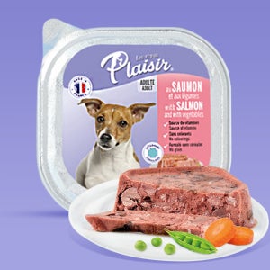 플레이저 강아지 주식캔 강아지캔 파테타입 연어+야채, 100g, 1개