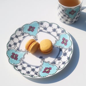 트위그뉴욕 올웨이즈 몰리해치 다프네 8인치 접시