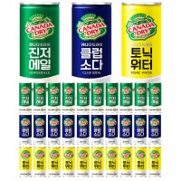 캐나다 드라이 클럽소다 토닉워터 진저에일 250ml 각10캔씩 30캔 하이볼 탄산수