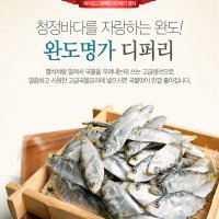 완도산 다시용 국물용 디포리 밴댕이 선물용 최상급 1.5Kg