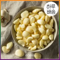 [하루배송][온도씨]가락시장 마늘 1kg